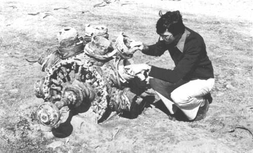 Naude's bombers wreckage